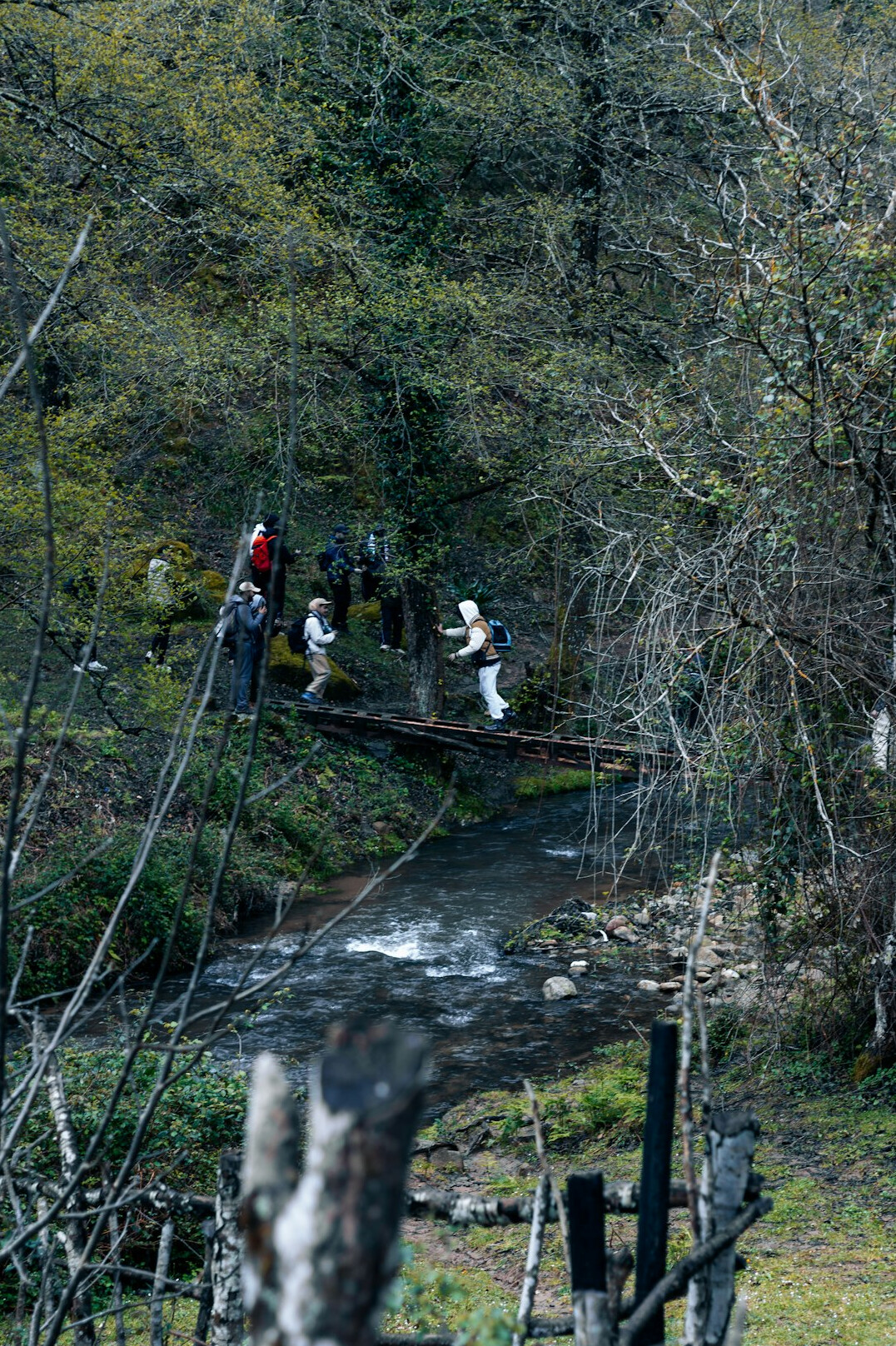 investigation team working